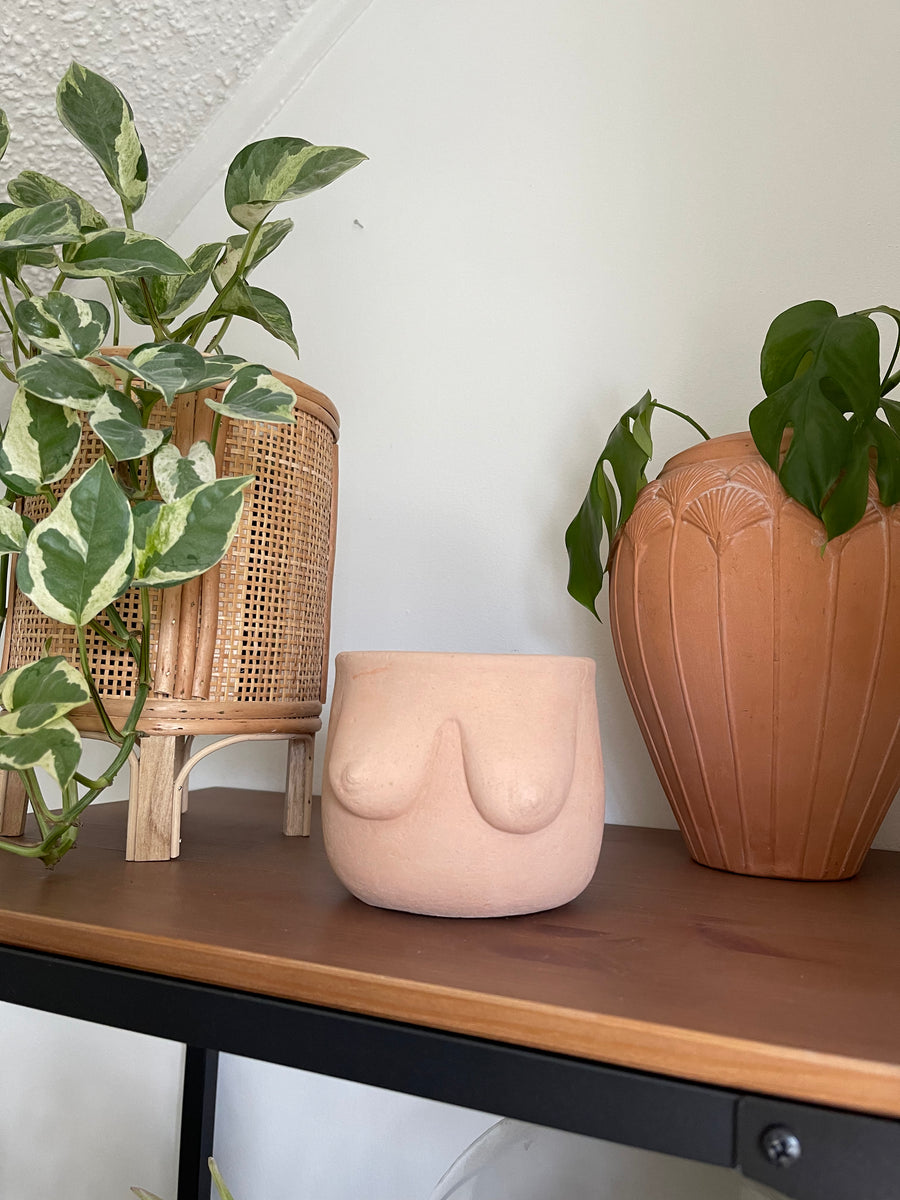 Boob Planters – Shop The Butterfly Effect