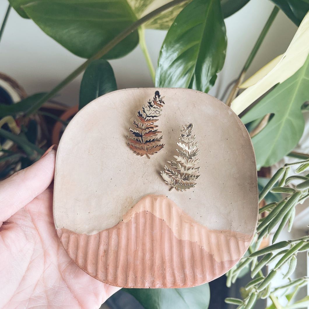 FERNS