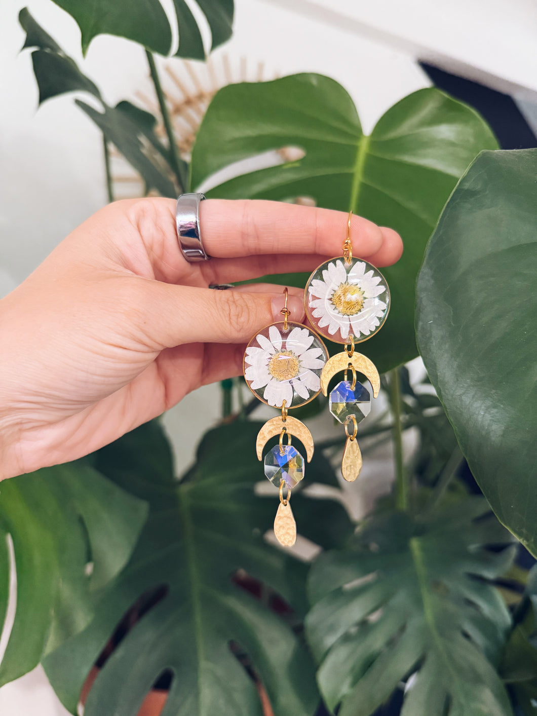 DAISY DROP 02