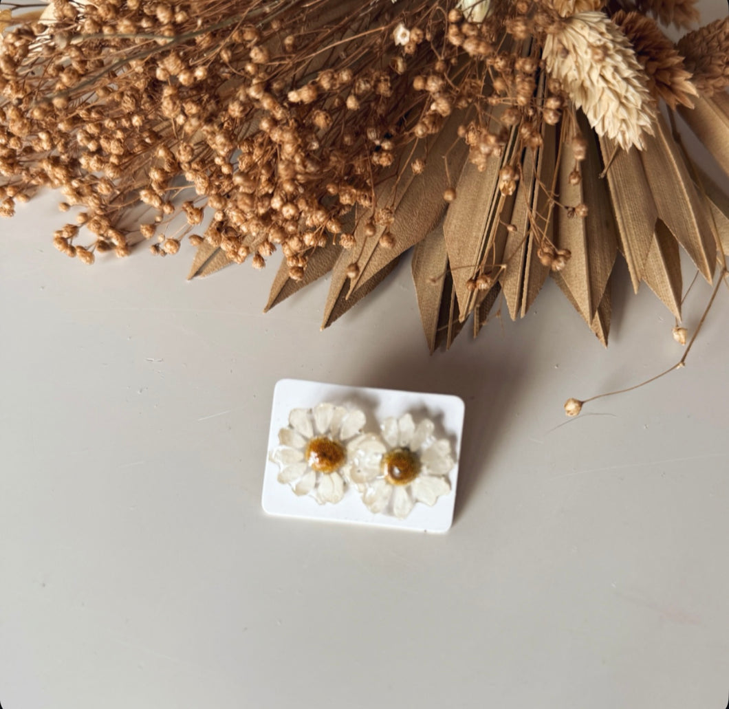 CHAMOMILE STUDS
