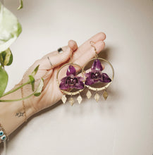 Load image into Gallery viewer, MONSTER ORCHID
