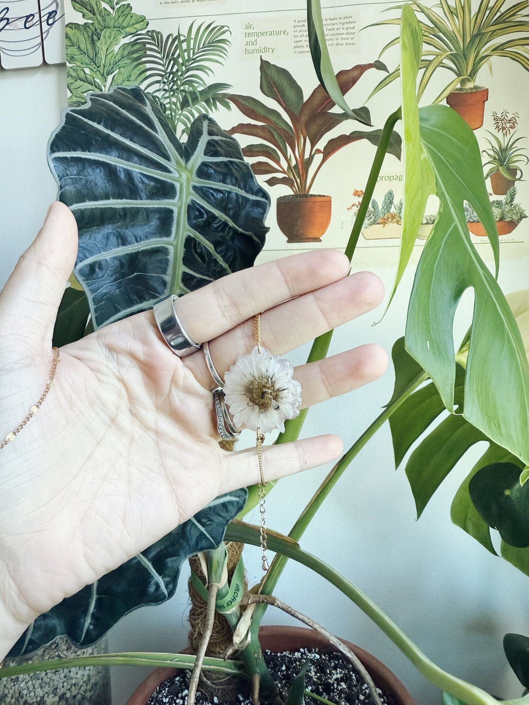 STRAWFLOWER BRACELET