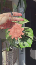 Load and play video in Gallery viewer, SOL SUNCATCHER
