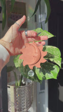 Load and play video in Gallery viewer, SUNNY MOON SUN CATCHER
