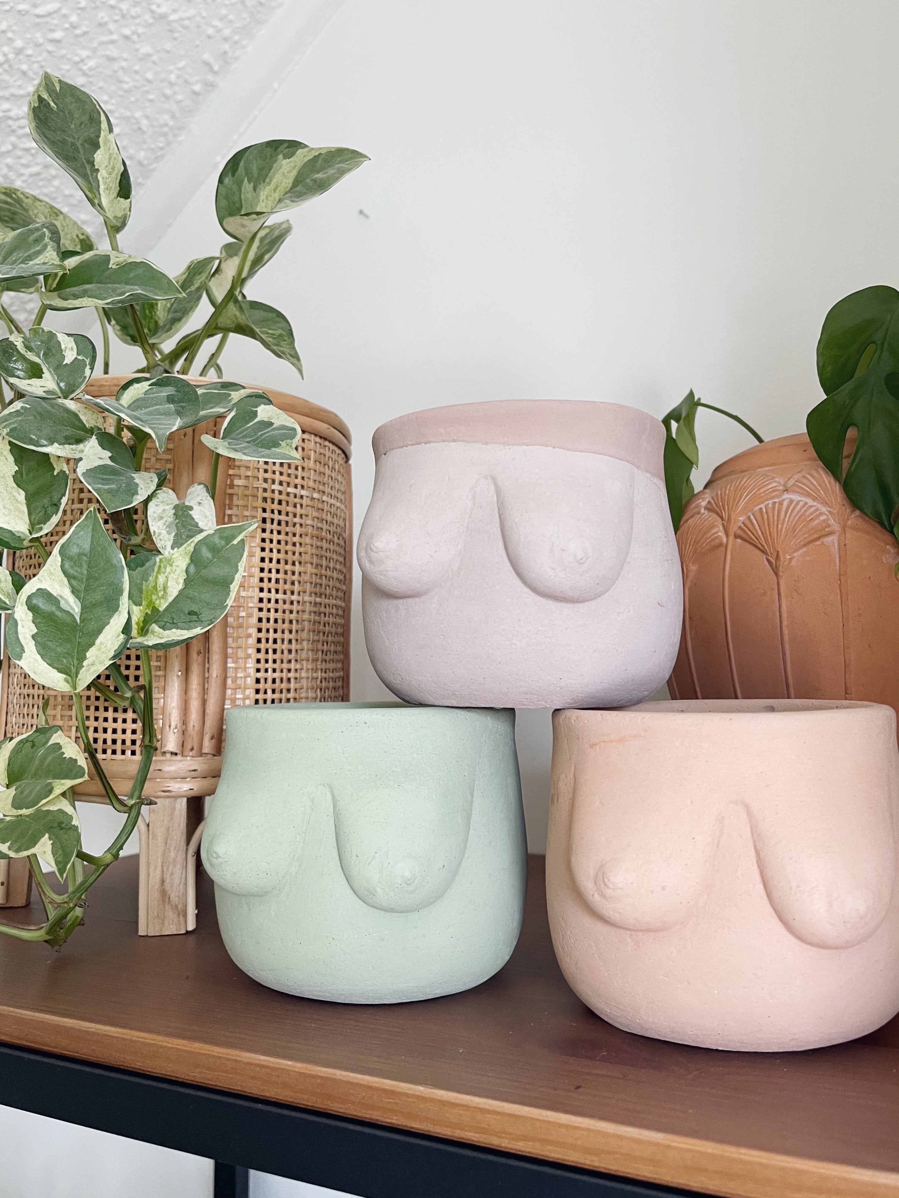 Boob Planters – Shop The Butterfly Effect